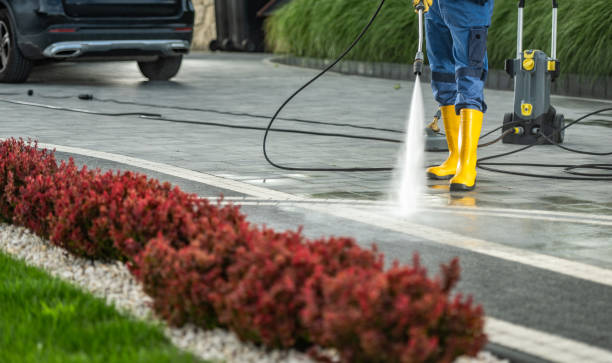 Best Concrete Sealing  in Inkster, MI